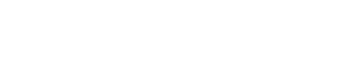 Lina Spor Footer Logo
